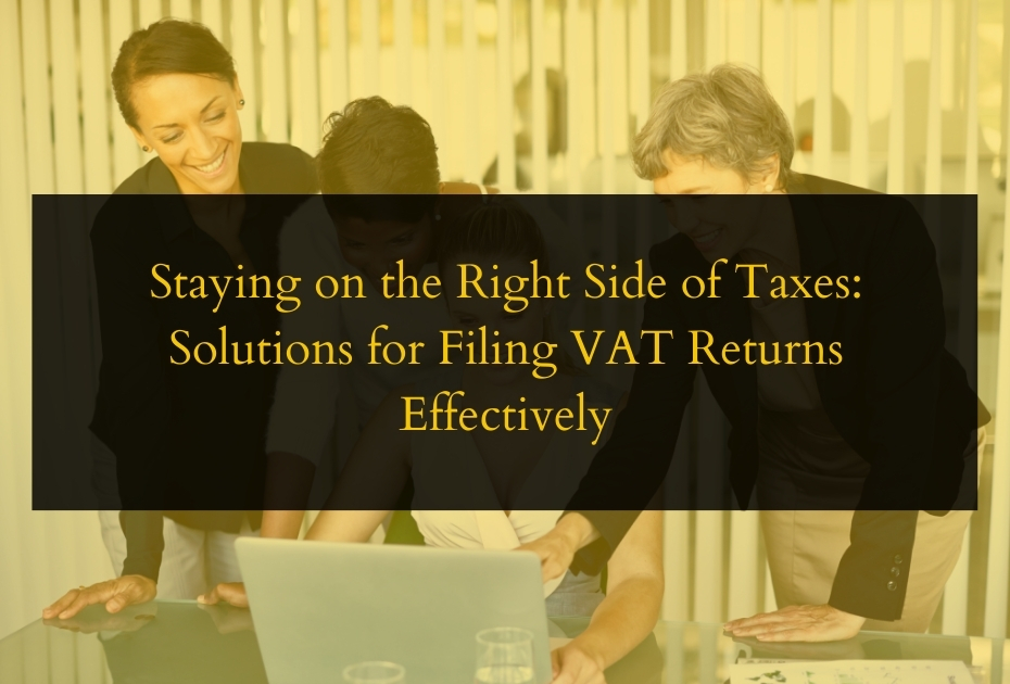 Solutions for filing VAT Returns effectively 