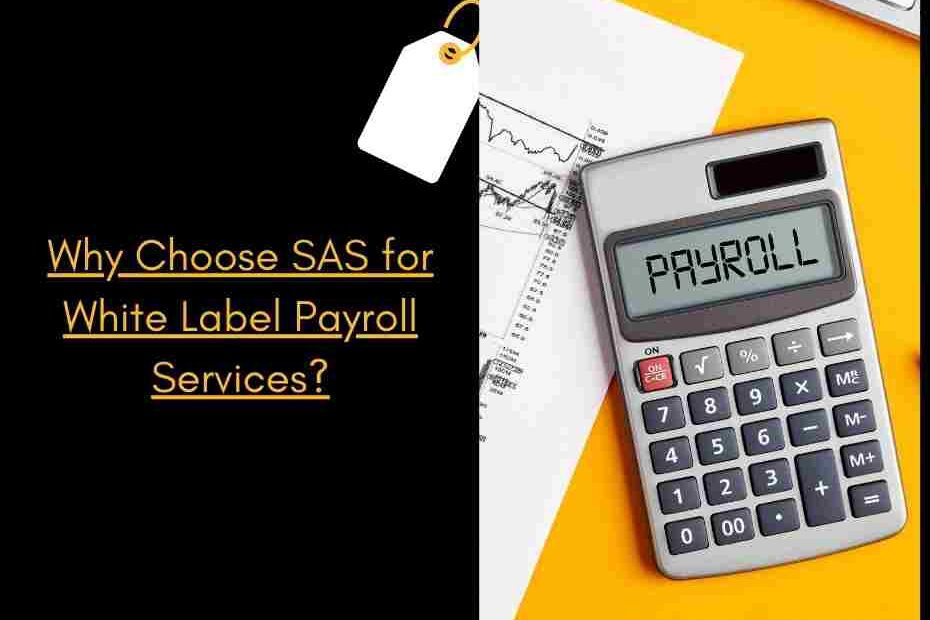 White label payroll services