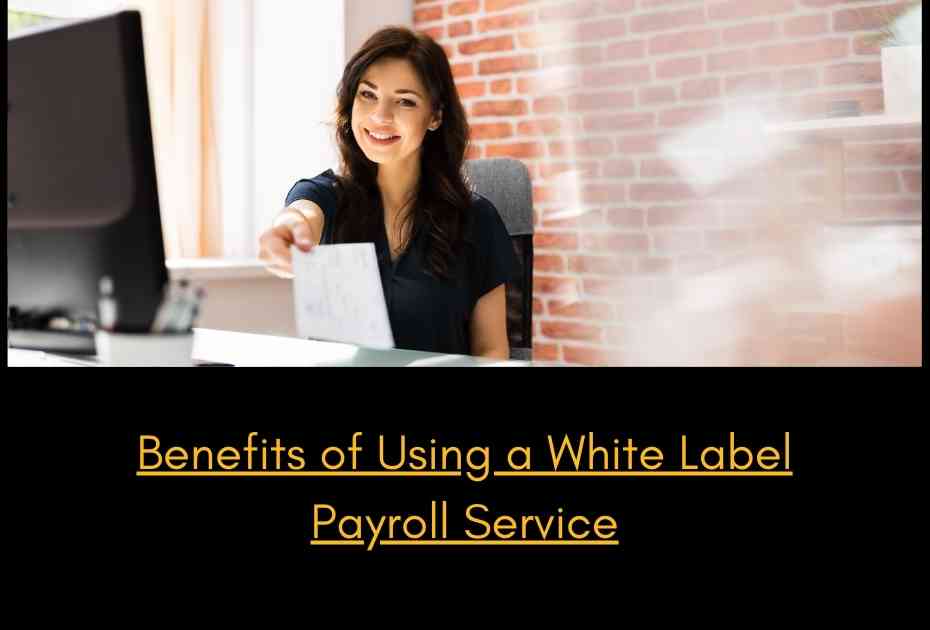 Benefits of using white label payroll services