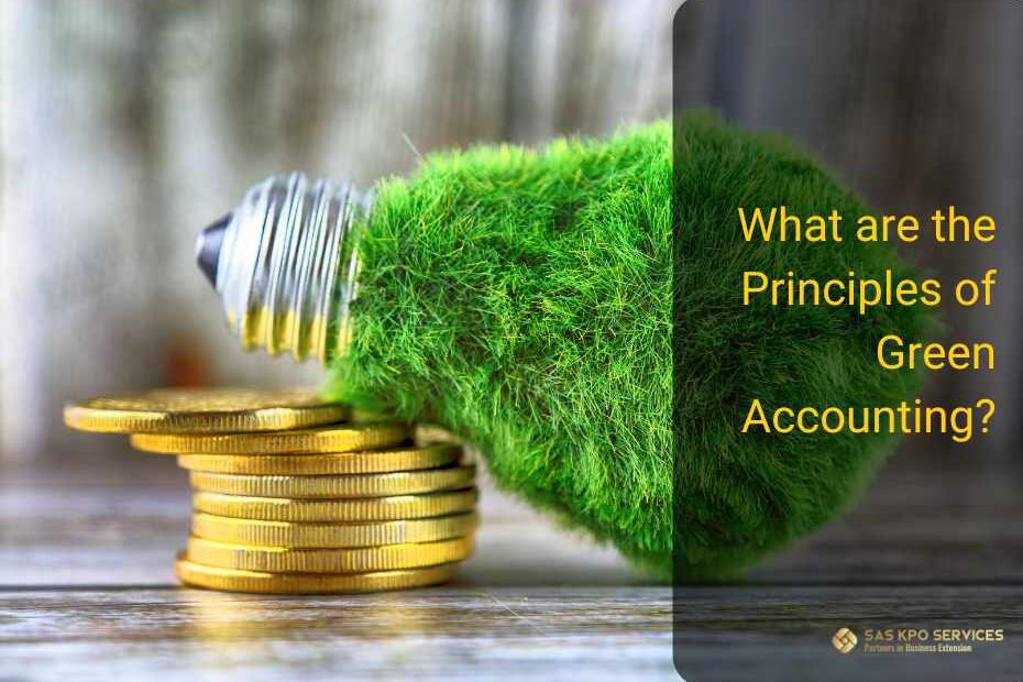 What are the Principles of Green Accounting?